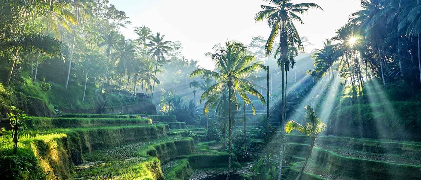 Ubud