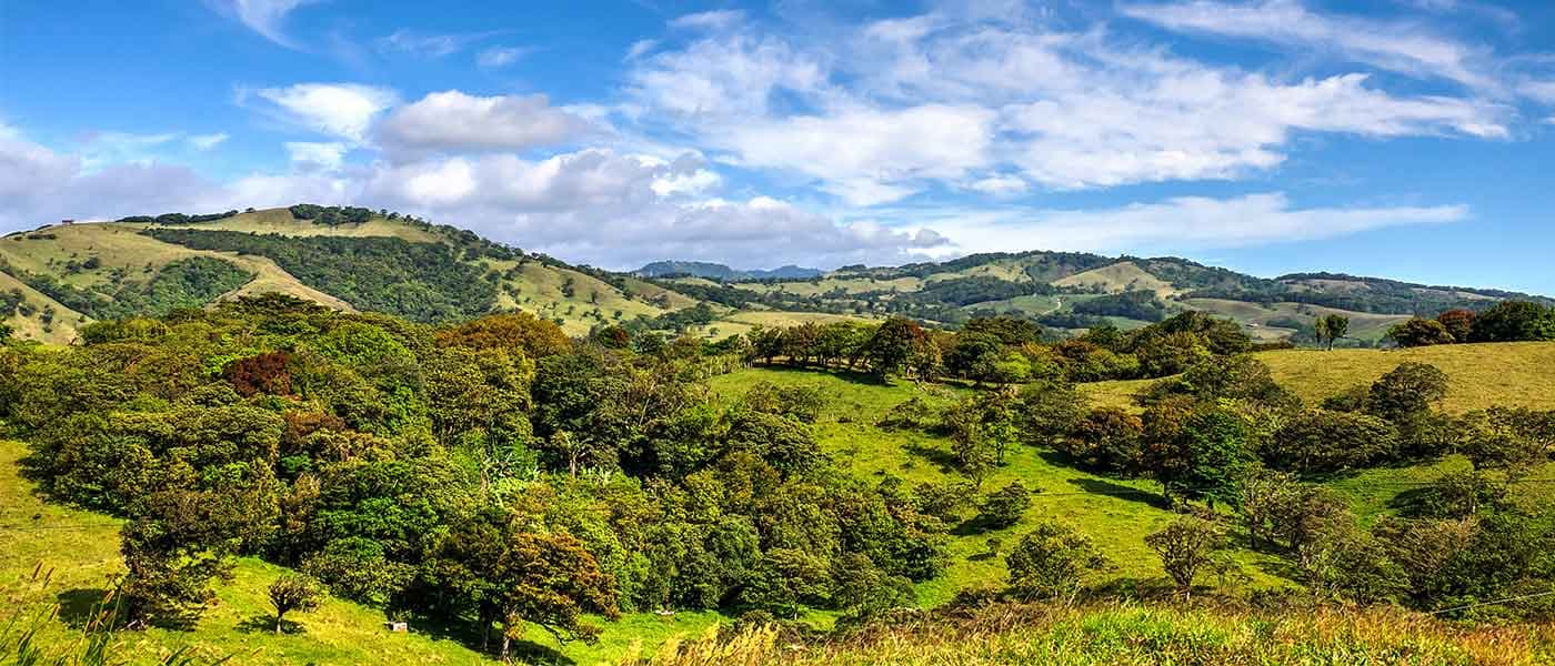 Best Coffee and Chocolate Tours in Costa Rica