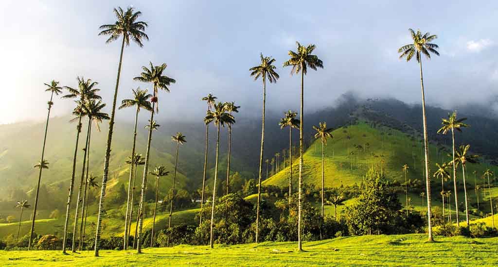 A guide to Salento | Explore the Valle de Cocora and coffee farms