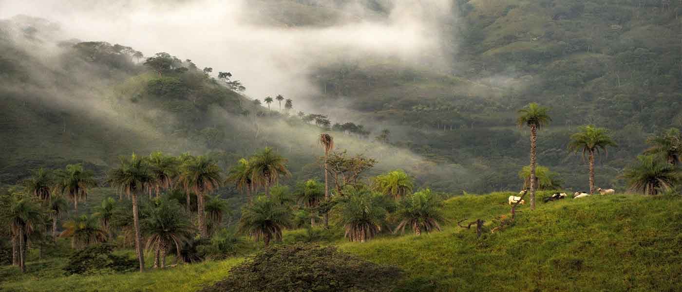 The Ultimate Monteverde Travel Guide